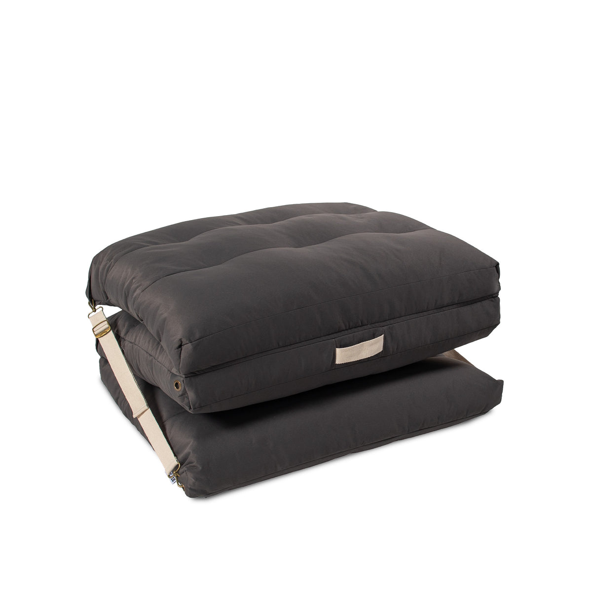 Chameleon Lounger