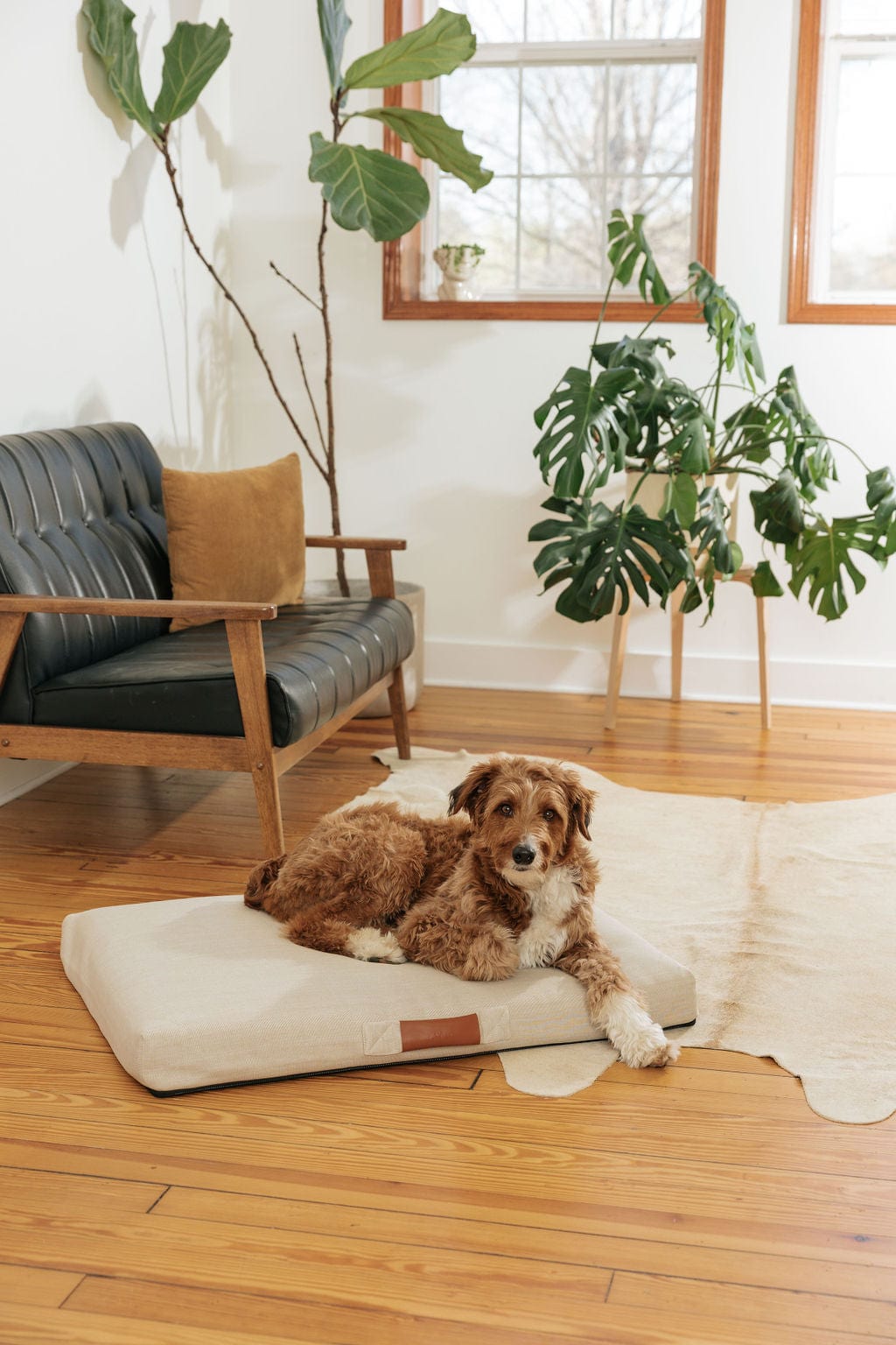Ecru | Modern Dog Bed or Bed Cover