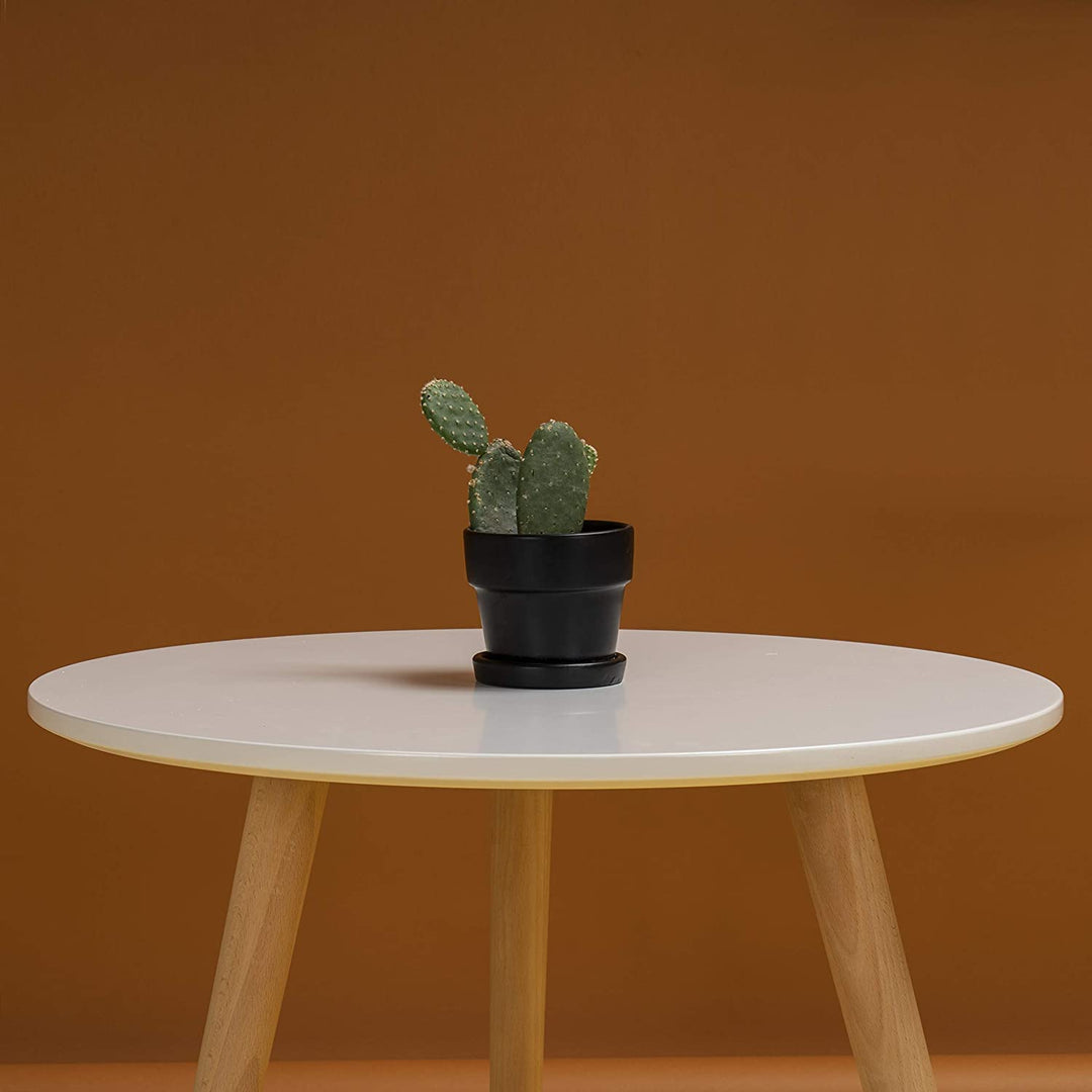 Roost Side Table Accessories