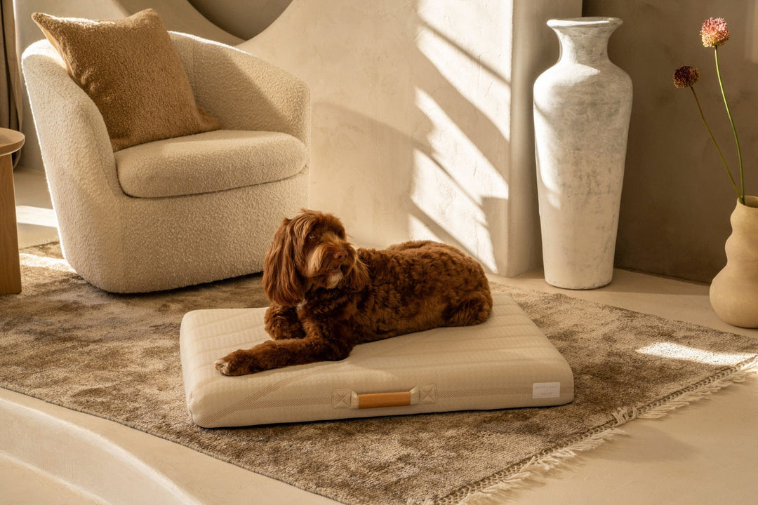 Brigette Romanek | Cream Dog Bed or Bed Cover