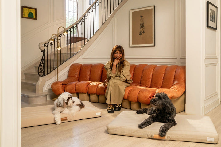 Brigette Romanek | Cream Dog Bed or Bed Cover