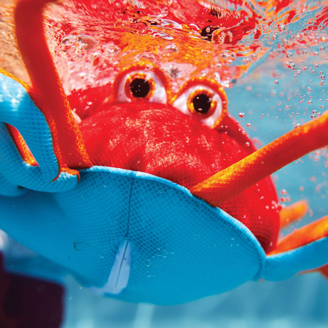 #color_sm-lobster