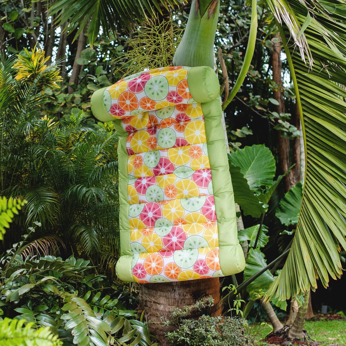 Drying with carry handle 